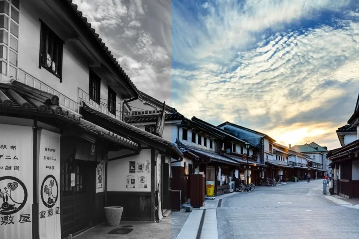 colorize black and white photo