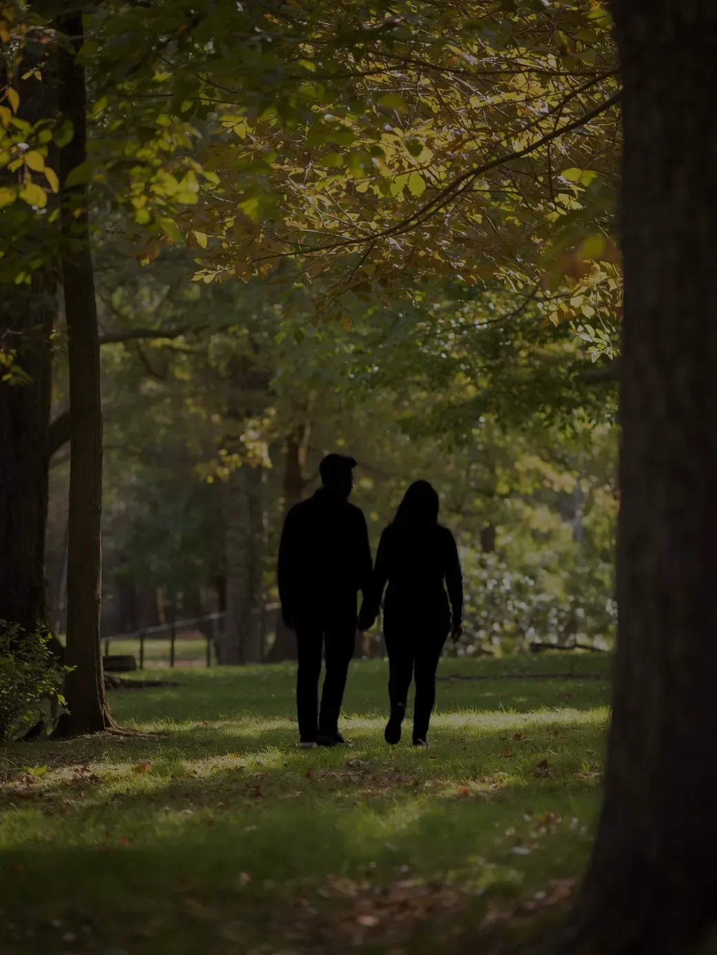 無料で写真・画像をシルエット化