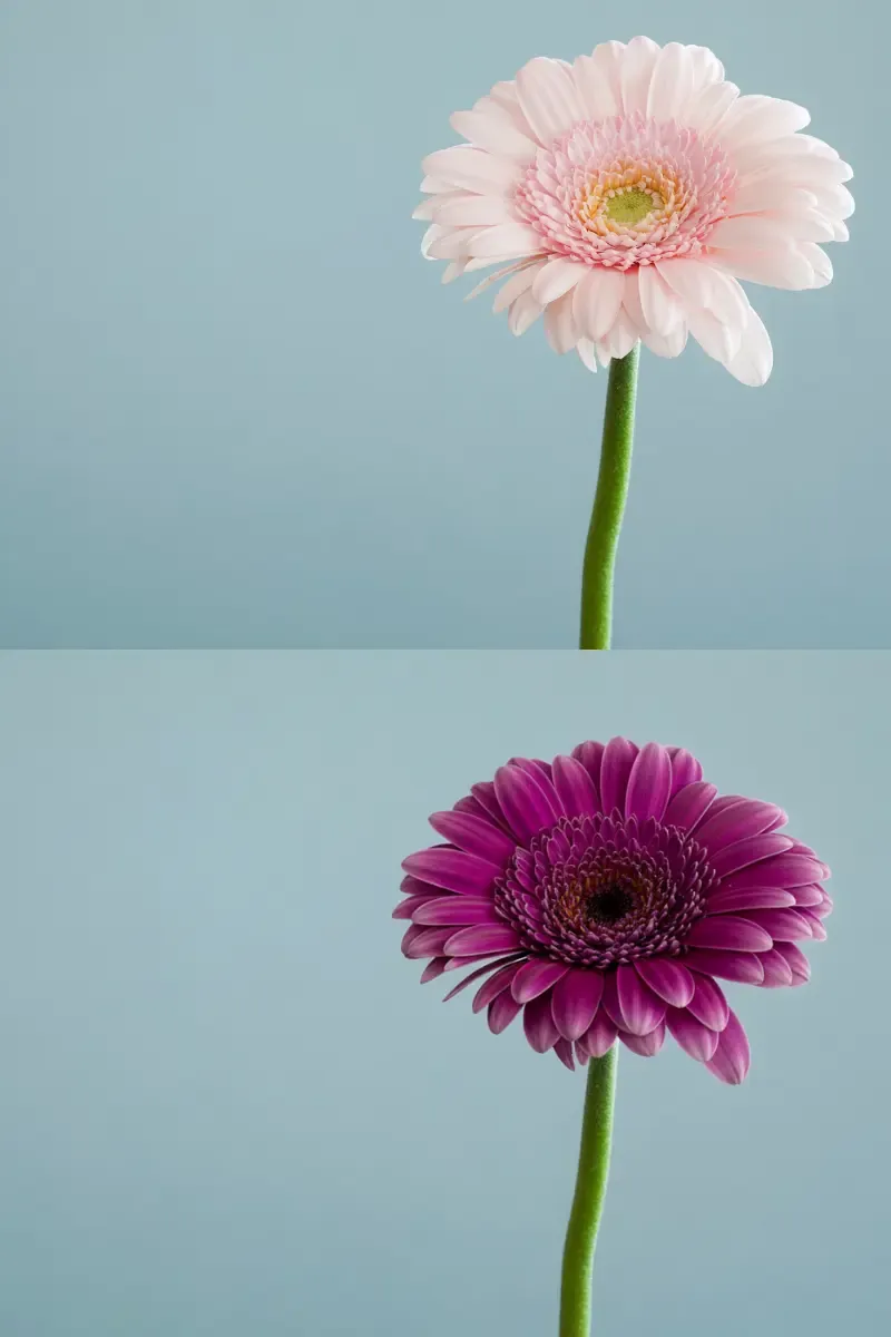 change color of image